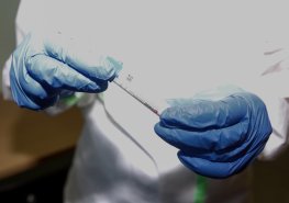 Antigenní testování pro pedagogické pracovníky