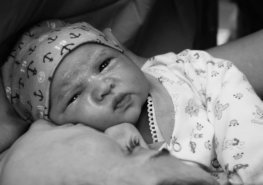 Plánované malování pardubické porodnice je odloženo