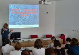 Co napáchal covid-19 v souvislosti s plísňovými onemocněními?