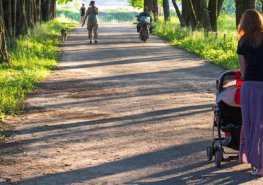 Na procházky s kočárkem jděte v létě spíš do lesa