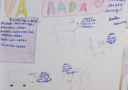 Všechny obory ve Svitavské i Litomyšlské nemocnici zůstanou zachovány