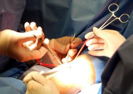 Tradiční česko-slovenský kongres mladých chirurgů se znovu vrací do Pardubického kraje