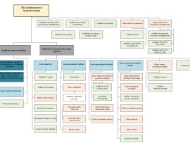 Organizační struktura NPK
