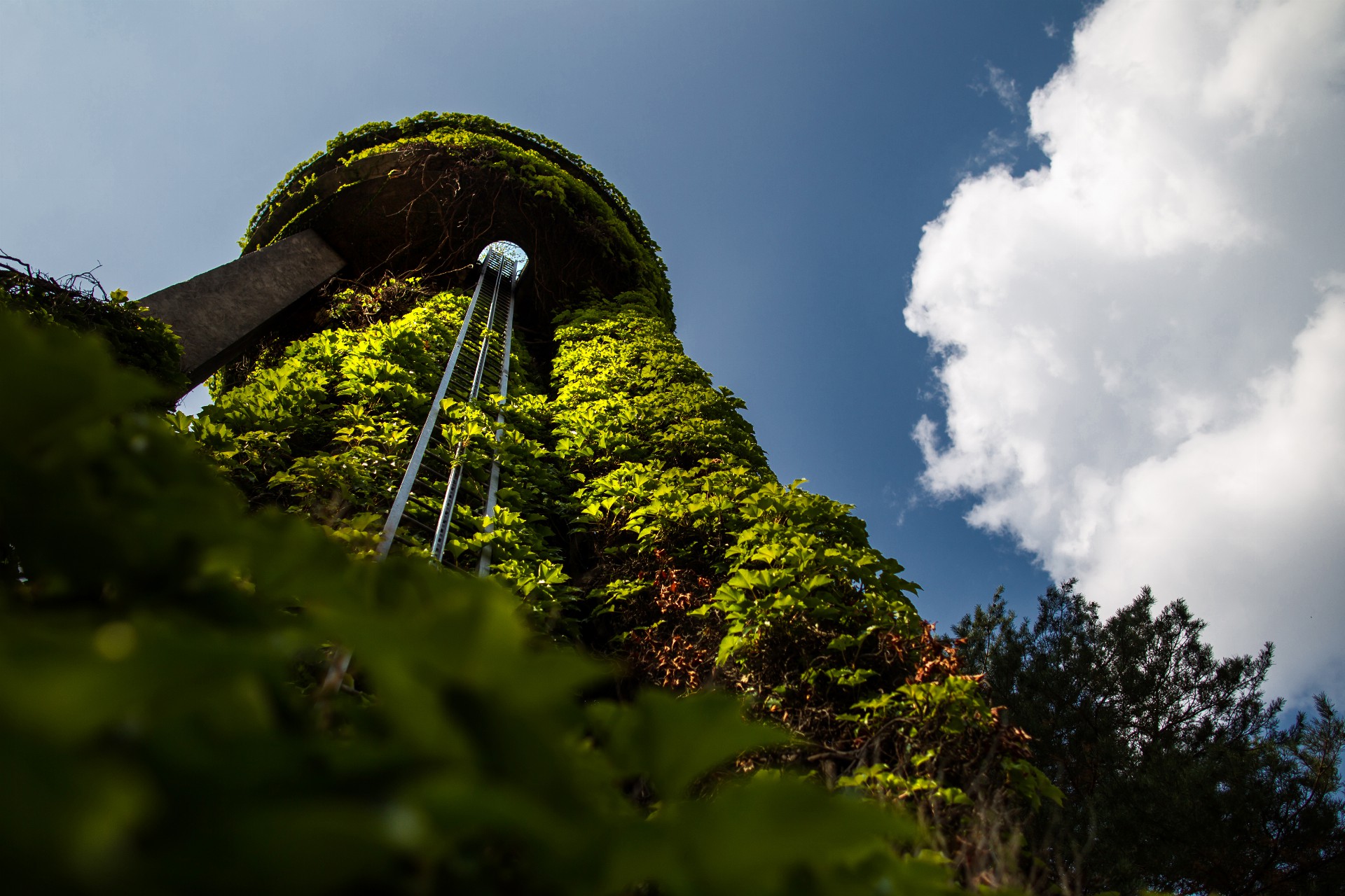Jedna z dominant Pardubické nemocnice jde k zemi. Bourá se starý komín