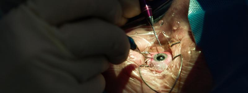 Pardubičtí oční lékaři získali ocenění na mezinárodním kongresu