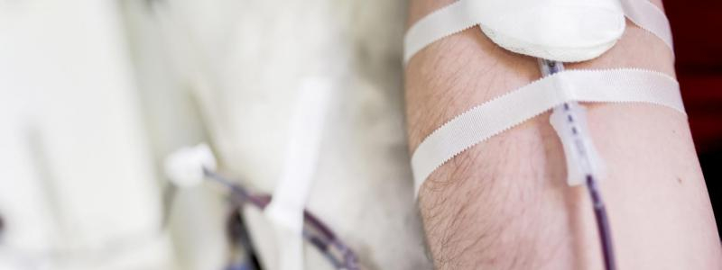 Přijďte darovat krev! Originální způsob, jak oslavit svátek zamilovaných