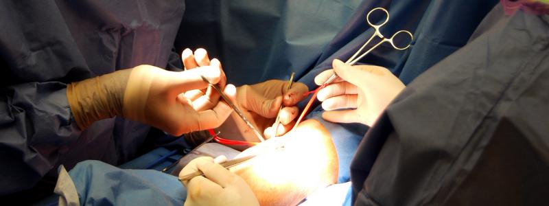 Tradiční česko-slovenský kongres mladých chirurgů se znovu vrací do Pardubického kraje